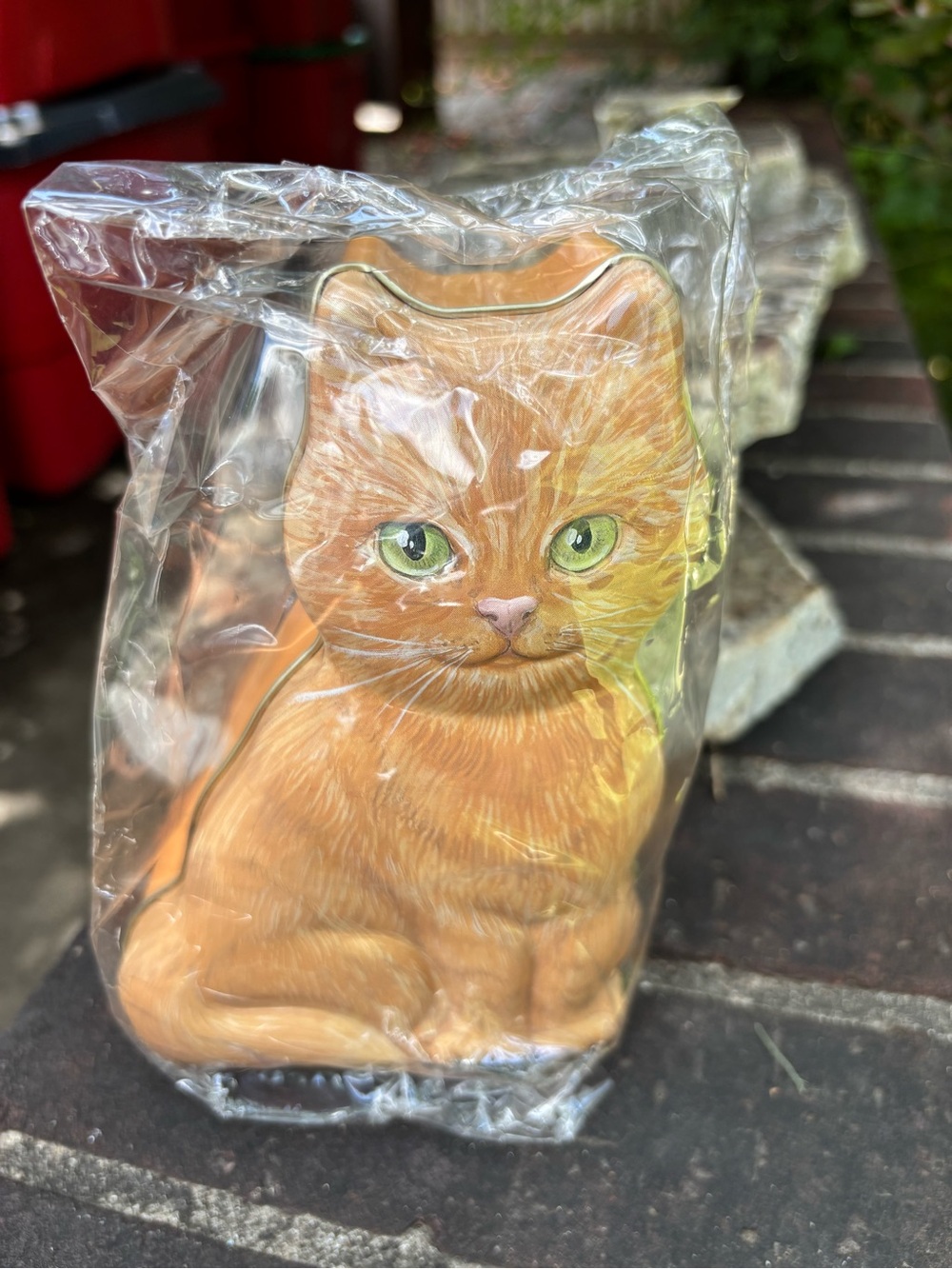 Orange Cat Metal Tin Brand New — 11 Available